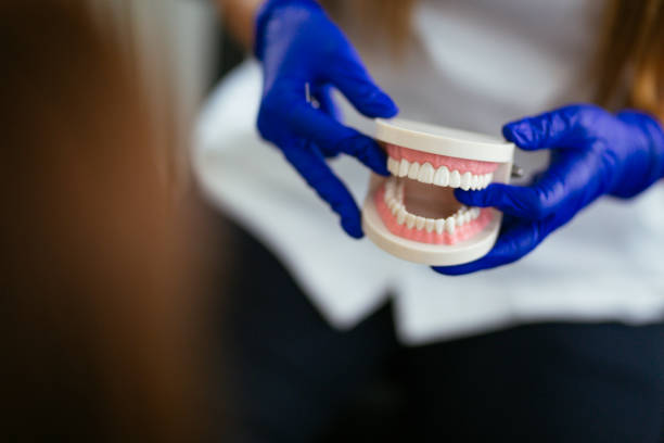 Best Tooth Extraction  in Bokeelia, FL