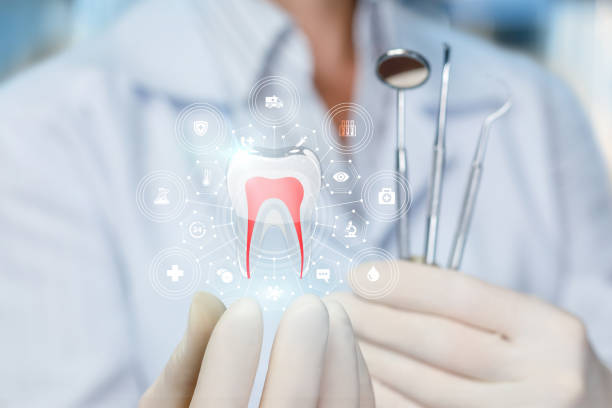 Professional  Holistic Dental Services in Bokeelia, FL